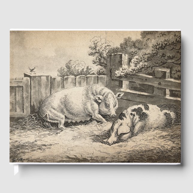 Två Grisar Ljugande i Rita i en utomhuspenna Gästböcker (Framsida)