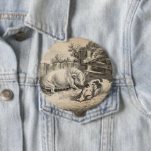 Två Grisar Ljugande i Rita i en utomhuspenna