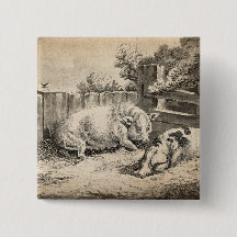 Två Grisar Ljugande i Rita i en utomhuspenna