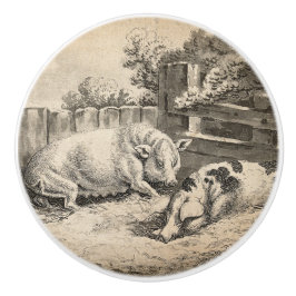 Två Grisar Ljugande i Rita i en utomhuspenna Knopp