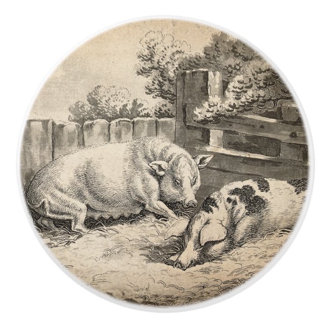 Två Grisar Ljugande i Rita i en utomhuspenna Knopp (Framsidan)