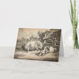 Två Grisar Ljugande i Straw i en utomhuspenna Kort