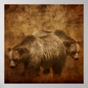 Två grizzlybjörnar i en rustik miljö poster