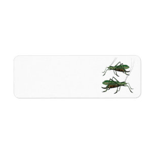 Två gröna gräshoppor/Katydids Returadress Etikett