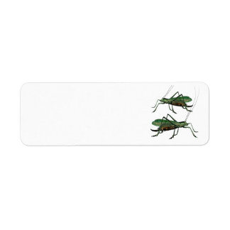Två Gröntar gräshoppor/katydider Returadress Etikett