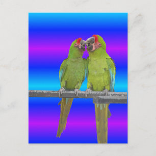 Två Gröntar Parrots Sunset DIY-vykort Vykort