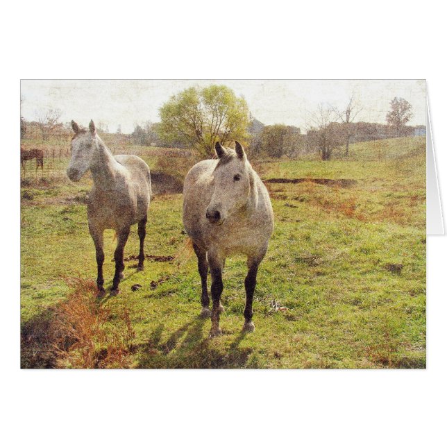 Två gryn hälsningskort (Framsidan Horizontal)