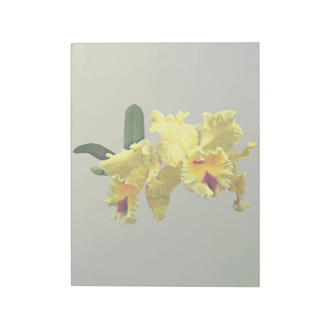 Två Gulter Cattleya Orchids Anteckningsblock (Roterad)