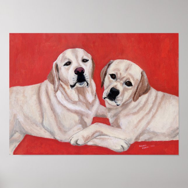 Två Gulter Labradors Artwork Poster (Framsidan)