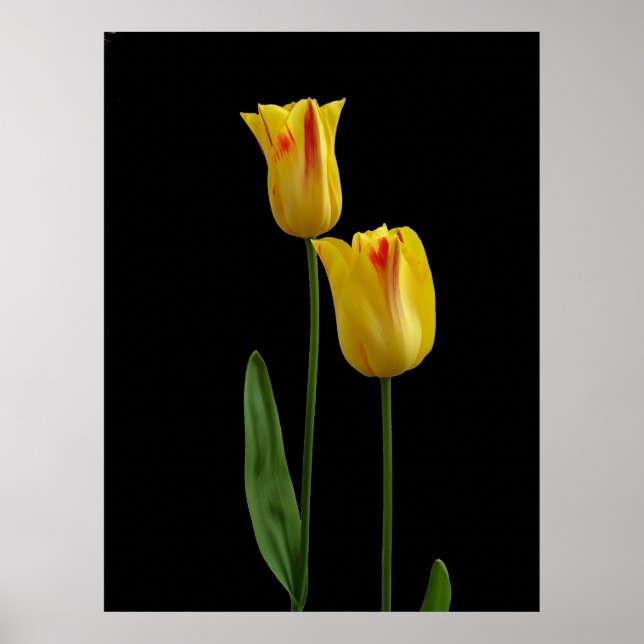 Två gulter poster (Framsidan)