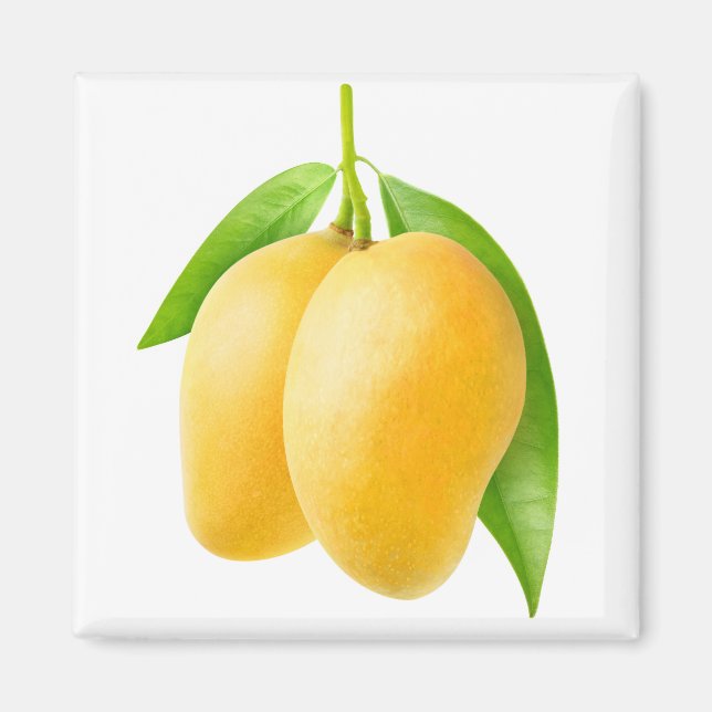 Två gulters mangofrukter magnet (Framsidan)