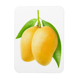 Två gulters mangofrukter magnet