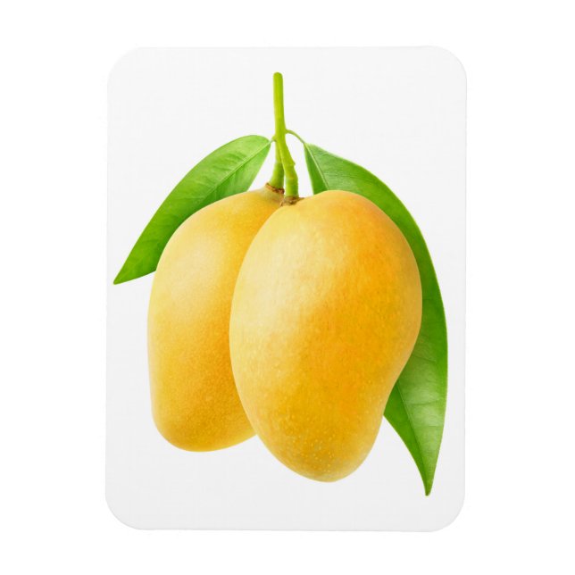 Två gulters mangofrukter magnet (Vertikal)