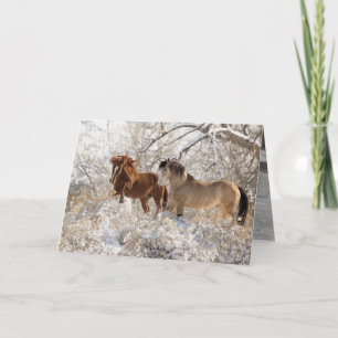 Två hallioner i Snö - Vild Horse Greeting Card Kort