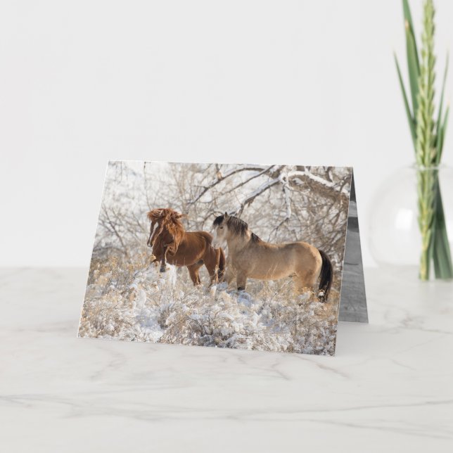 Två hallioner i Snö - Vild Horse Greeting Card Kort (Framsida)