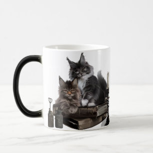 Två hårig Maine Coon kittens Magisk Mugg