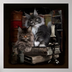 Två hårig Maine Coon kittens Poster