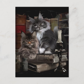 Två hårig Maine Coon kittens Vykort