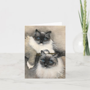 Två Hårig Ragdoll Cats Funny Meow Kort