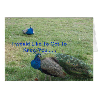 TVÅ HÄRLIGA PÅFÅGEL HÄLSNINGSKORT