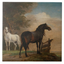 Två hästar i en Meadow nära Grind (Paulus Potter)