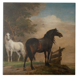 Två hästar i en Meadow nära Grind (Paulus Potter) Kakelplatta