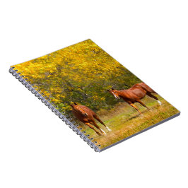 Två hästar i nedgång anteckningsbok