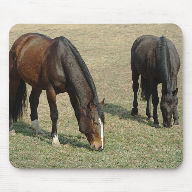 Två hästar - Mousepad Musmatta (Framsidan)
