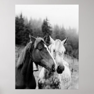 Två hästar Rustic Countryside Poster