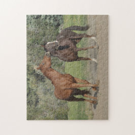 Två hästar spelar pussel