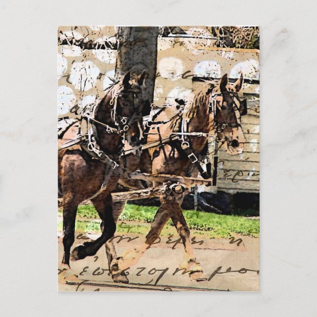 Två hästeteam med blandade media Collage Vykort (Framsida)