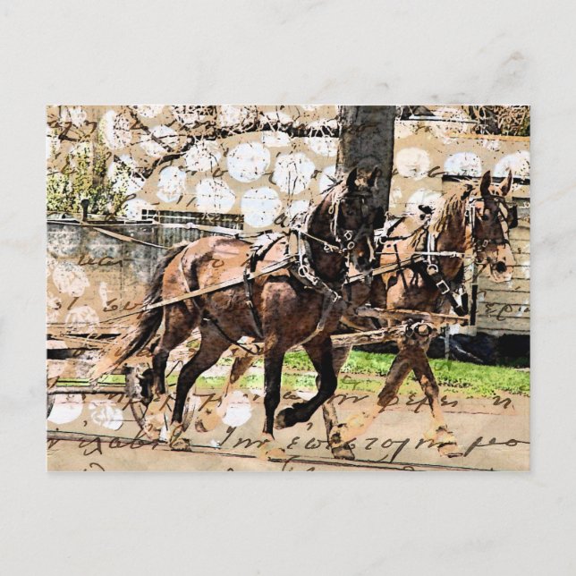 Två hästeteam med blandade media Collage Vykort (Framsida)