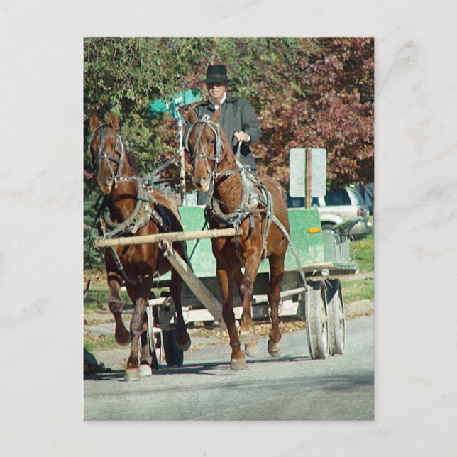 Två hästlag vykort (Framsida)