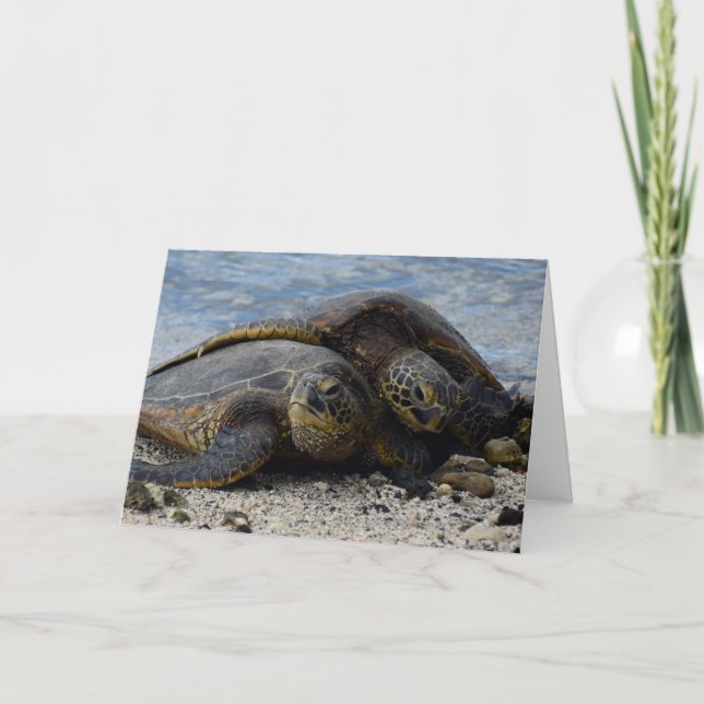 Två havssköldpaddor Snuggling på Sand Kort (Framsida)
