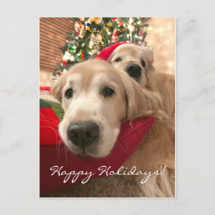 Två Helgdag Hundar jul för Golden Retriever Helg Vykort