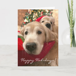 Två Helgdag Hundar jul för Golden Retriever Helgkort