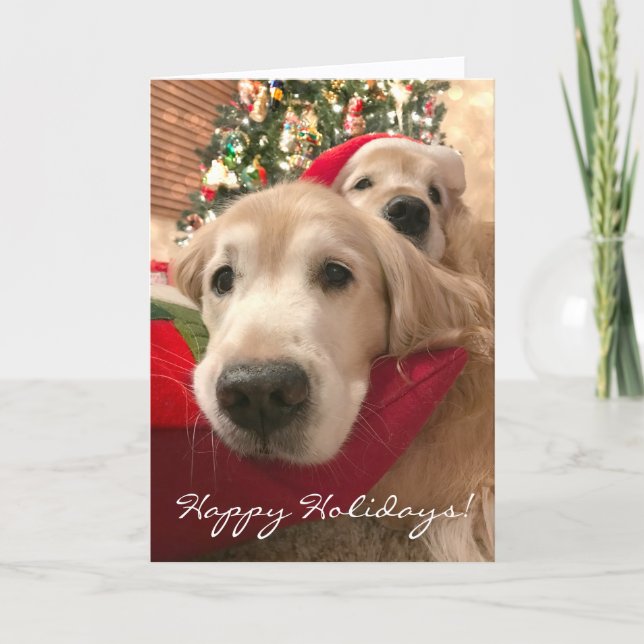 Två Helgdag Hundar jul för Golden Retriever Helgkort (Framsida)