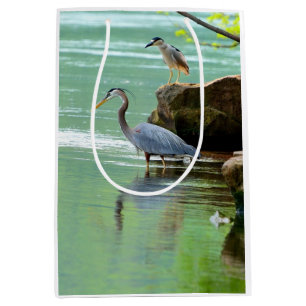 Två Heroner vid floden