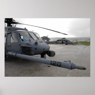Två HH-60G stenlägger hökar Poster