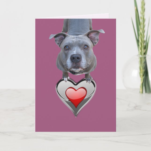 Två hörningar Pitbull Valentines dagskort Helgkort (Framsida)