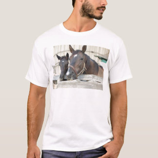 Två Horses Chewin a Fence T Shirt