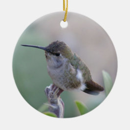 Två Hummingbirds Julgransprydnad Keramik