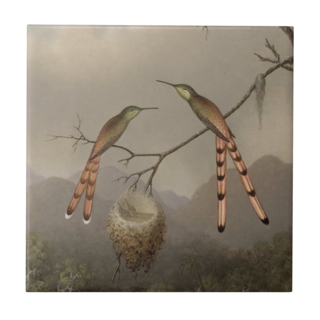Två Hummingbirds med deras barn Kakelplatta (Framsidan)