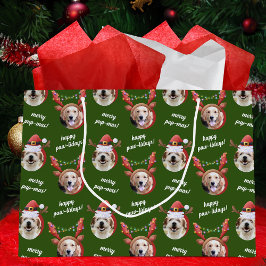 Två Hund Photo Reindeer God jul Grönt