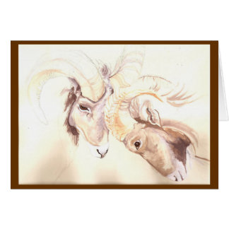 två huvud är bättre än ett OBS kort