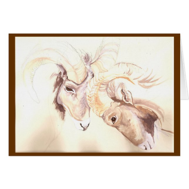 två huvud är bättre än ett OBS kort (Framsidan Horizontal)