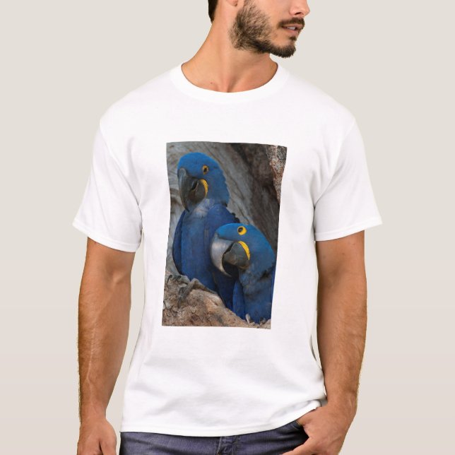 Två Hyacint Macaws, Brasilien T Shirt (Framsida)