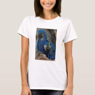 Två Hyacint Macaws, Brasilien Tee