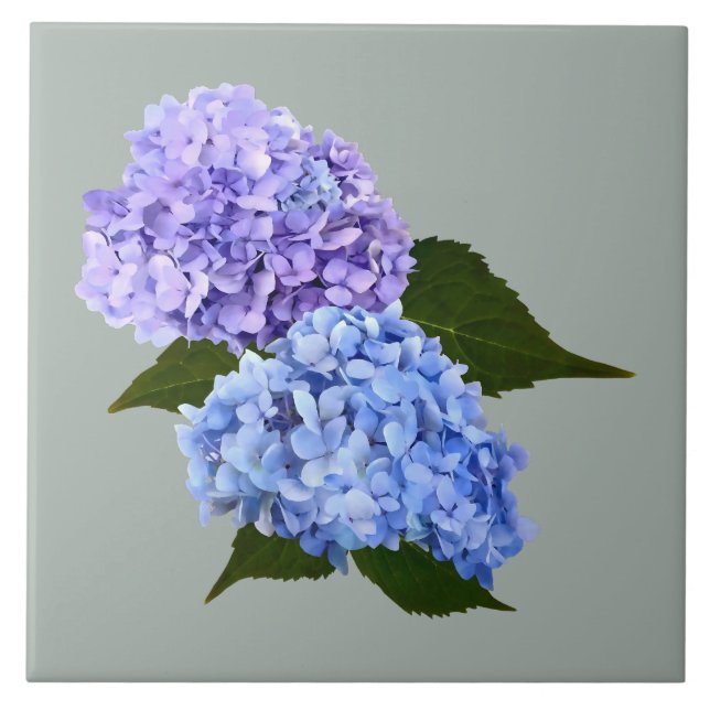 Två Hydrangea Lavender och Blue Kakelplatta (Framsidan)