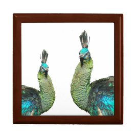 Två indonesiska peacocks Keepsakbox Minnesask